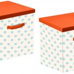 Scatola Organizer